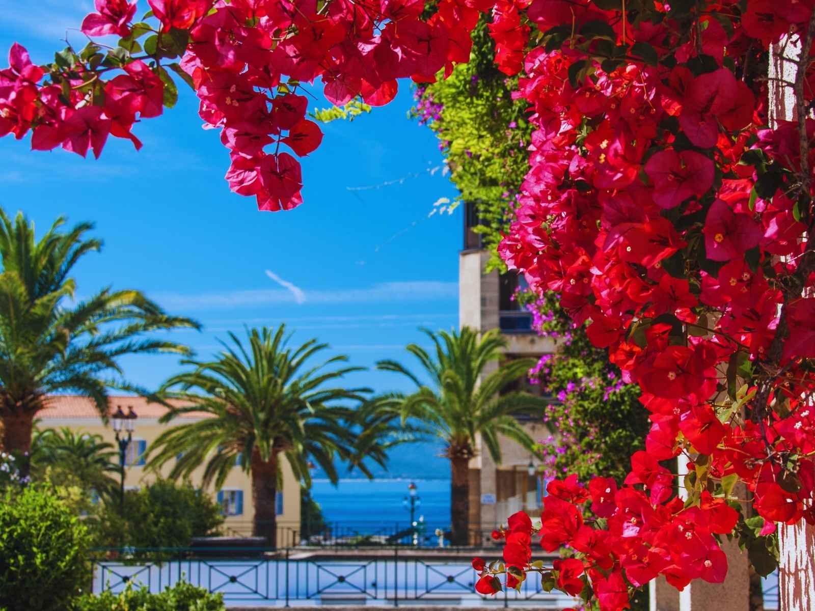 Air Horizont 10 años de resiliencia y expansión - Air Horizont